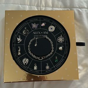 Alex and Ani a year of charms